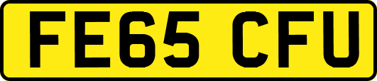 FE65CFU
