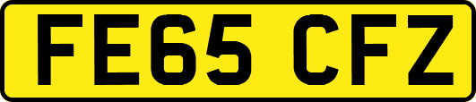 FE65CFZ