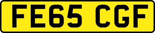 FE65CGF