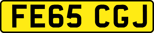 FE65CGJ