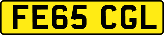 FE65CGL