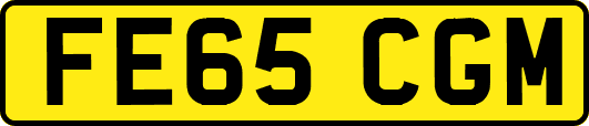 FE65CGM