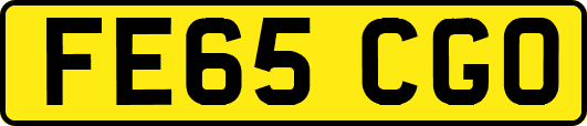 FE65CGO