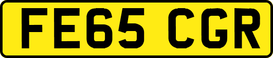 FE65CGR