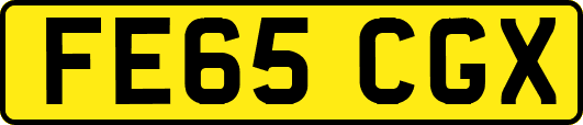 FE65CGX
