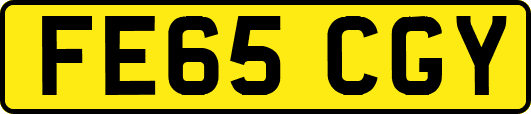 FE65CGY