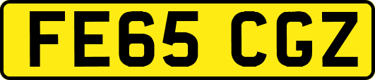 FE65CGZ