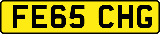 FE65CHG