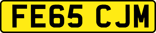 FE65CJM