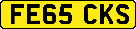 FE65CKS