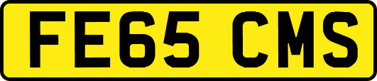 FE65CMS