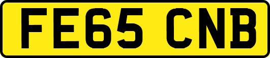 FE65CNB