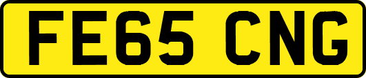 FE65CNG