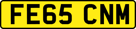FE65CNM