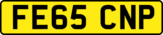 FE65CNP