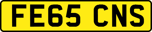 FE65CNS
