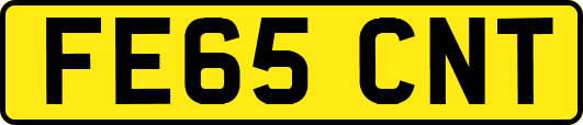 FE65CNT