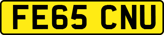 FE65CNU