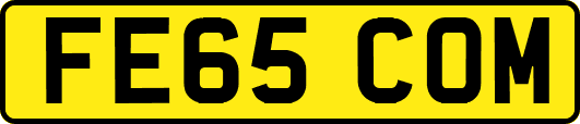 FE65COM