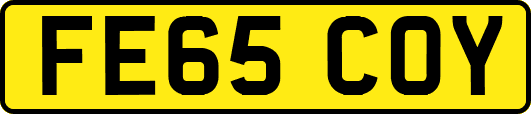FE65COY
