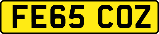 FE65COZ
