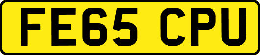 FE65CPU