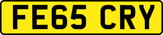 FE65CRY