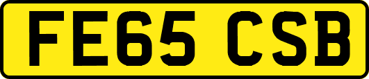 FE65CSB