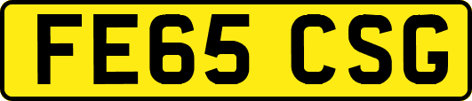 FE65CSG