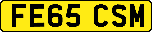 FE65CSM