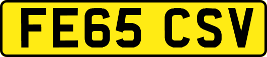 FE65CSV