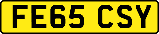 FE65CSY