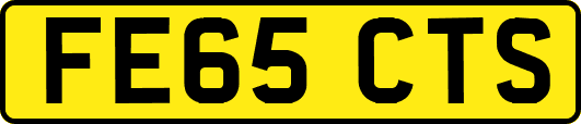 FE65CTS