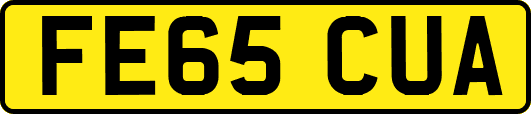 FE65CUA