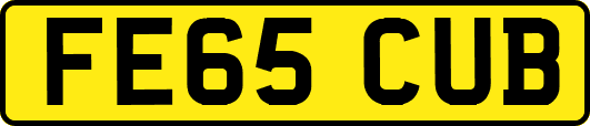FE65CUB