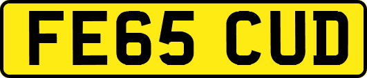 FE65CUD