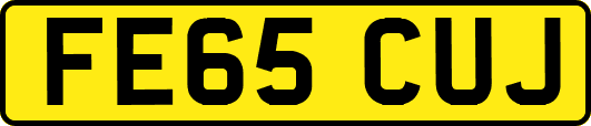 FE65CUJ