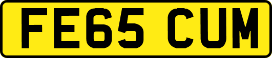 FE65CUM