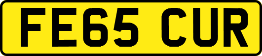 FE65CUR