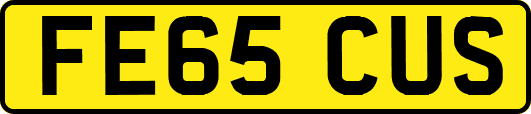 FE65CUS