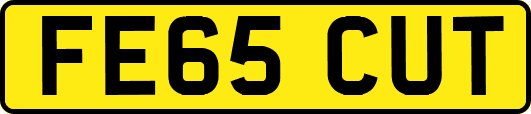 FE65CUT