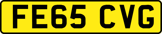FE65CVG