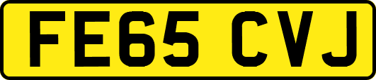 FE65CVJ