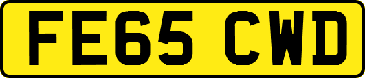 FE65CWD