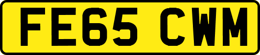 FE65CWM