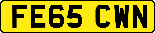FE65CWN