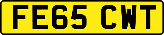 FE65CWT