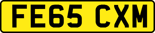 FE65CXM