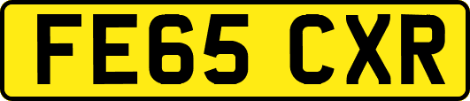 FE65CXR