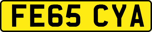 FE65CYA